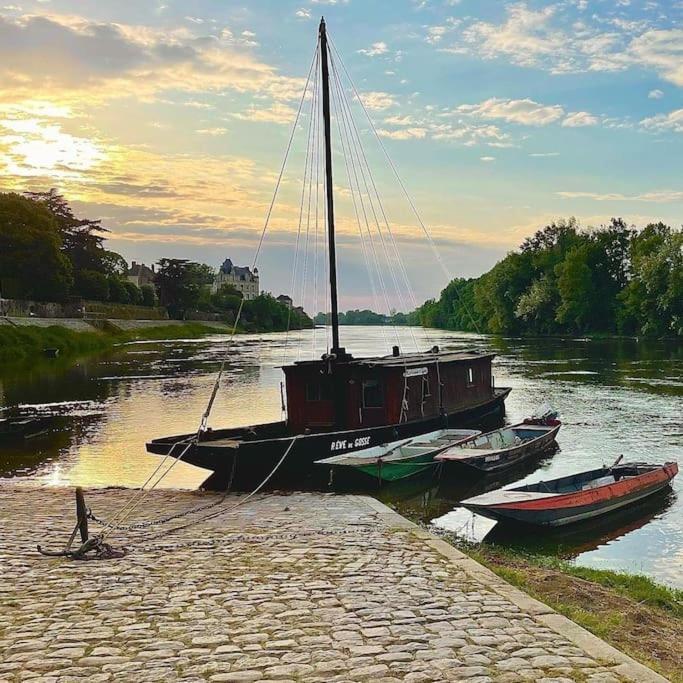 Le 20 La Loire Maison De Bord De Loire Chalonnes-sur-Loire Kültér fotó